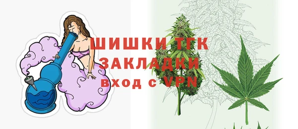 МДПВ Бронницы