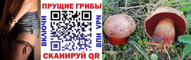 Купить  Кировград  Галлюциногенные грибы мухоморы 